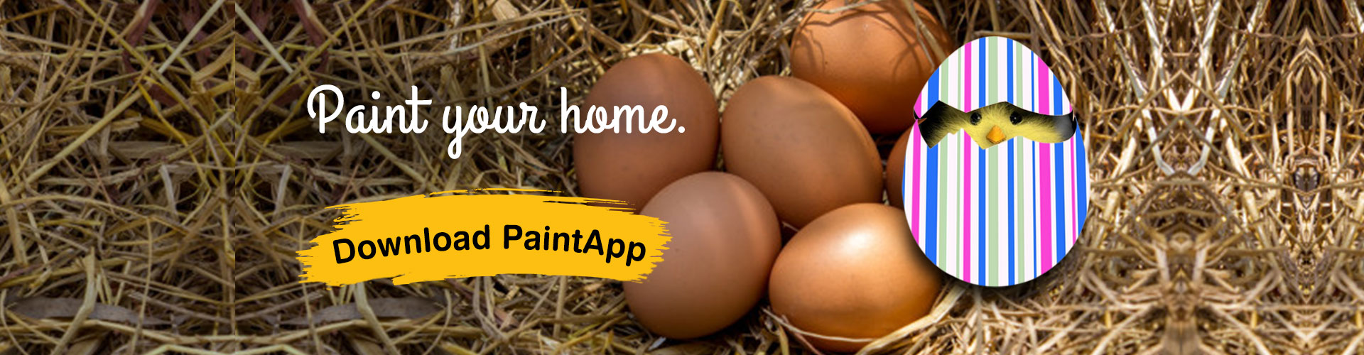painappit painting services app